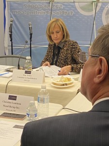 Congresswoman Tenney   