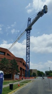 Crane                   