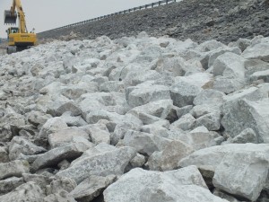 DSCF1495
